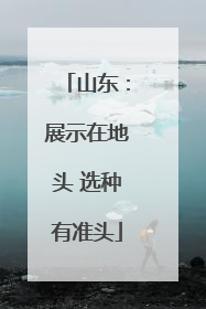山东：展示在地头 选种有准头
